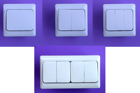 Designer Switches-10AX